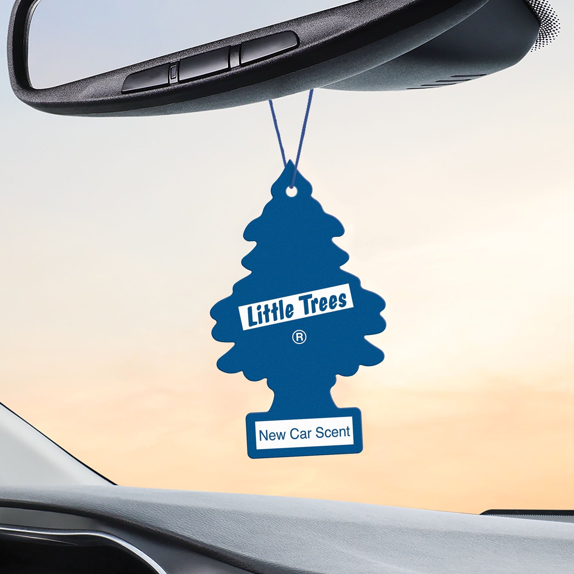 Little Trees Air Freshener New Car Scent Fragrance 3-Pack